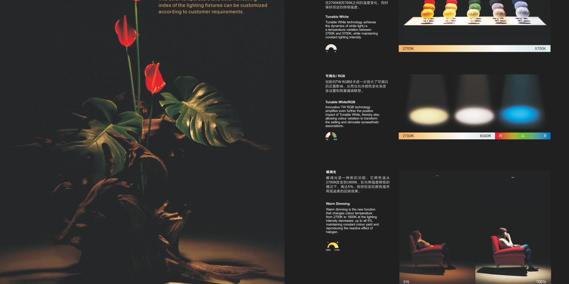 新建项目 (2).jpg